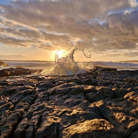 Moondust Near The Ocean, Food And Wine Villa Hermanus Buitenkant foto